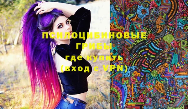 ГАЛЛЮЦИНОГЕННЫЕ ГРИБЫ Баксан