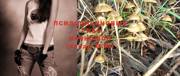 ГАЛЛЮЦИНОГЕННЫЕ ГРИБЫ Баксан