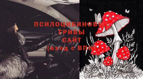 ГАЛЛЮЦИНОГЕННЫЕ ГРИБЫ Баксан