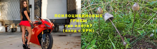 apvp Балабаново