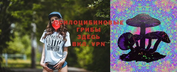 apvp Балабаново