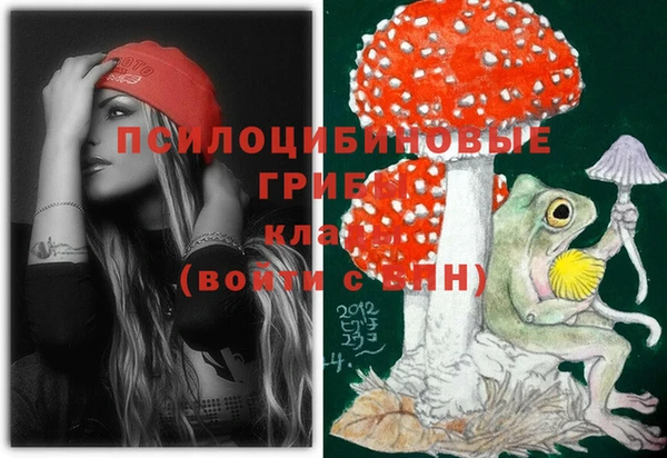 ГАЛЛЮЦИНОГЕННЫЕ ГРИБЫ Баксан