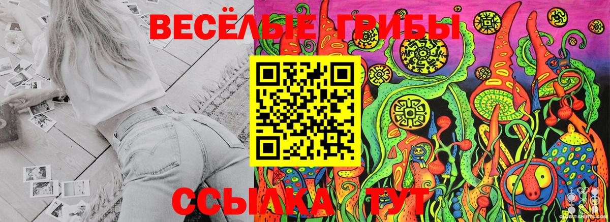 Баксан  Псилоцибиновые грибы мухоморы  Галлюциногенные грибы GOLDEN TEACHER  Вход с VPN 